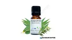 EUCALYPTUS FLAVOR ATMOS LAB