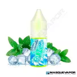 AROMA ICEE MINT 10ML FRUIZEE VAPE