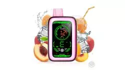 VAPER DESECHABLE MUSS CYBER FLEX JUICY PEACH ICE 2