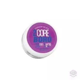 RESISTENCIAS 2-CORE DL BORO 0.25 OHM Ni80 - COILS BY SCOTT