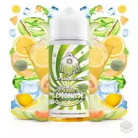 FLAVOUR MELON LEMONADE 30ML ATEMPORAL LONGFILL