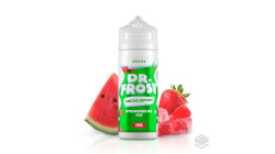 FLAVOUR STRAWMELON ICE DR FROST 24ML LONGFILL